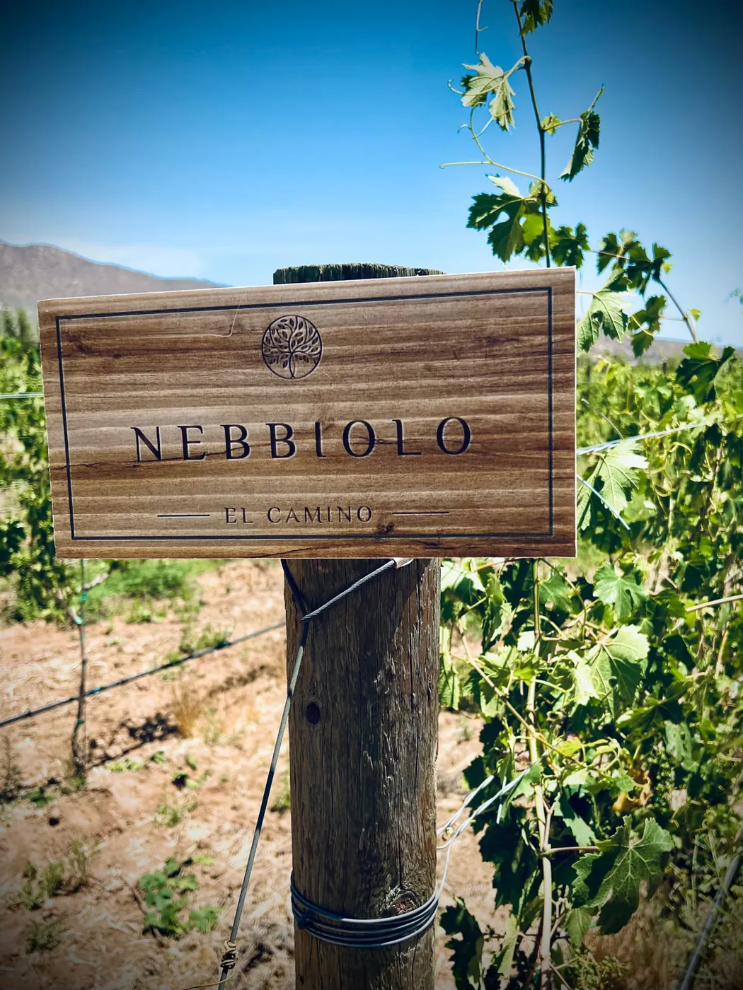 Letrero de Nebbiolo