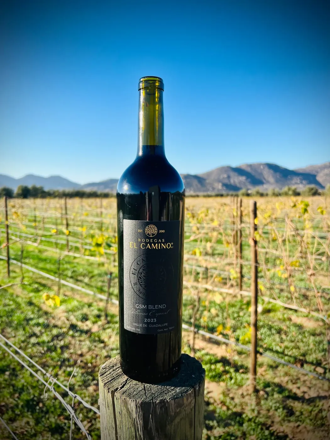 Botella de GSM Blend 2023 en el viñedo