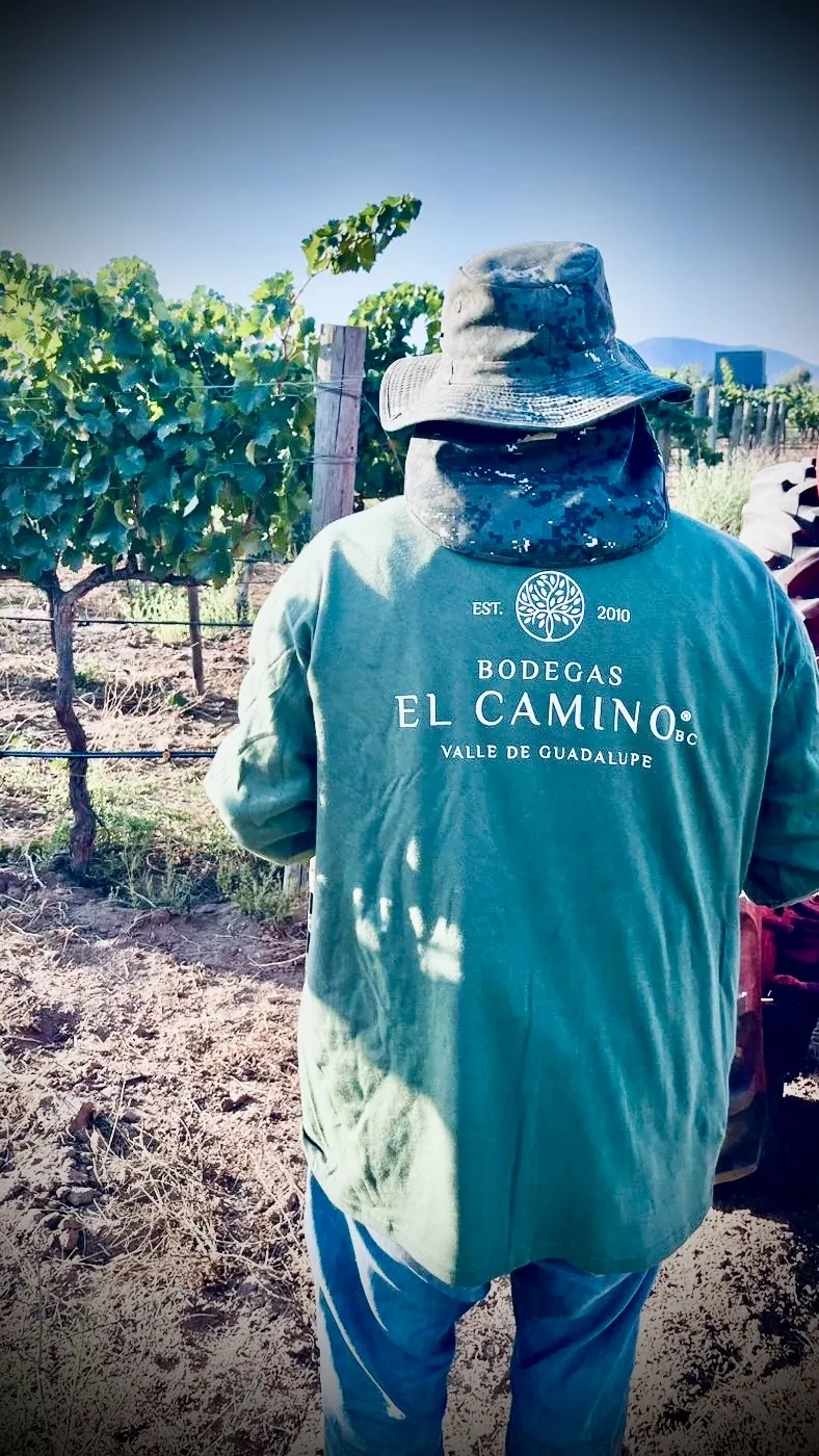Trabajador con camisa de Bodegas El Camino