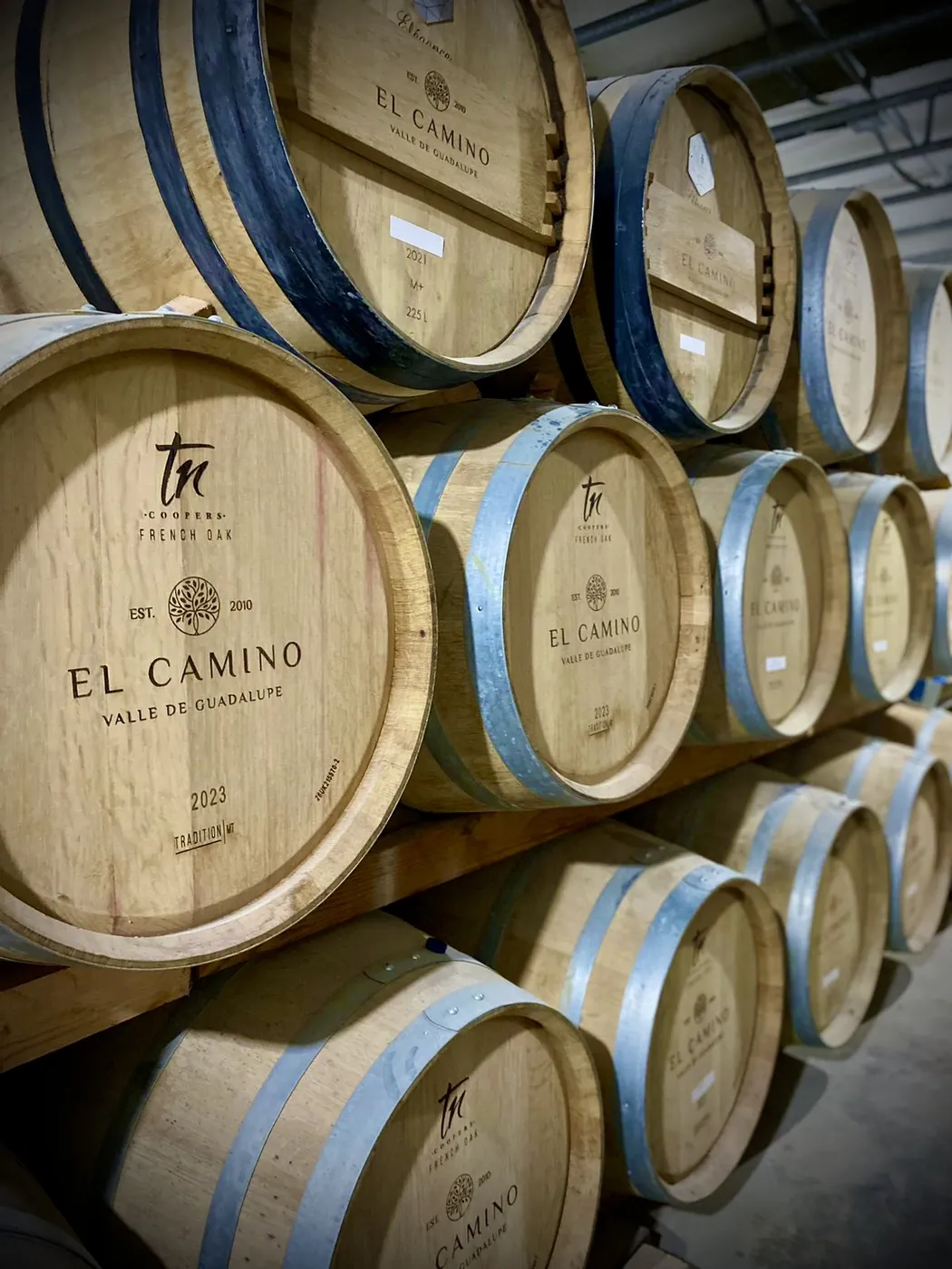 Barricas de roble en la cava